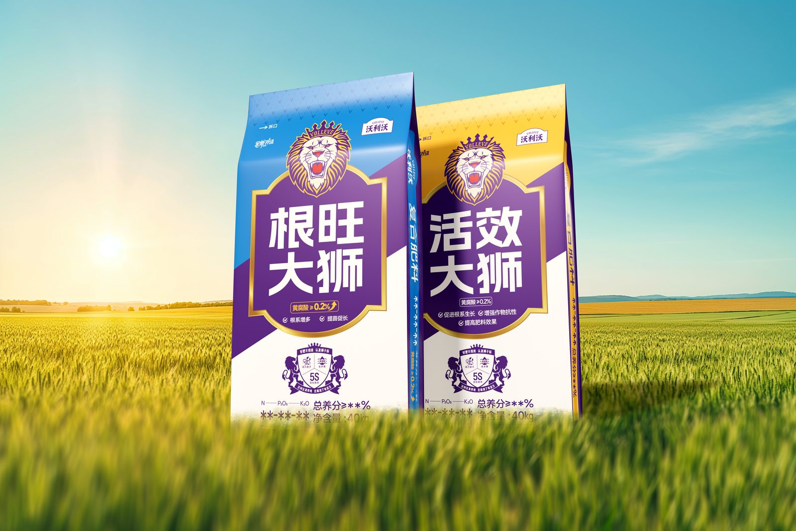 沃利沃