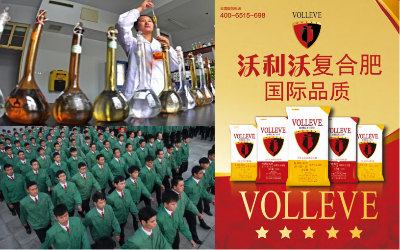 品牌升级前：包装停留在 10 年前，形象老化